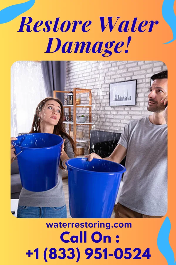 water restoration Local Disaster Cleanup & Sons Milton