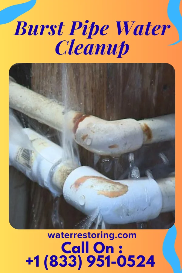 Burst Pipe Water Cleanup in Milton, WV