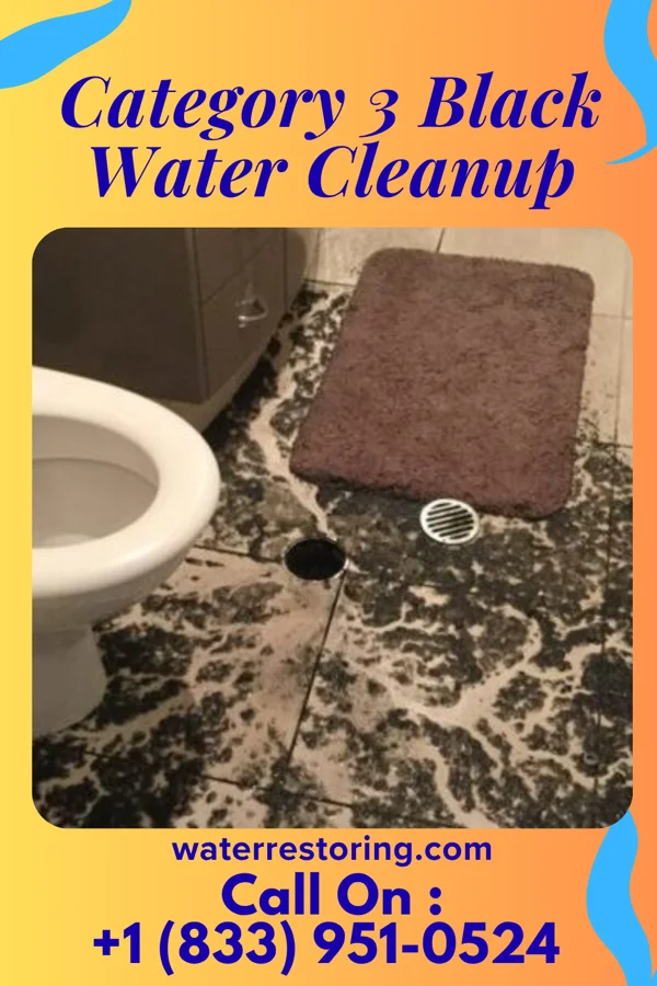 Category 3 Black Water Cleanup in Milton, WV