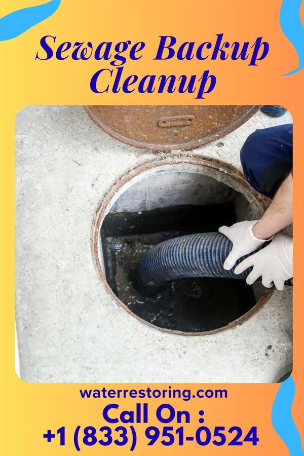 Sewage Backup Cleanup in Milton, WV