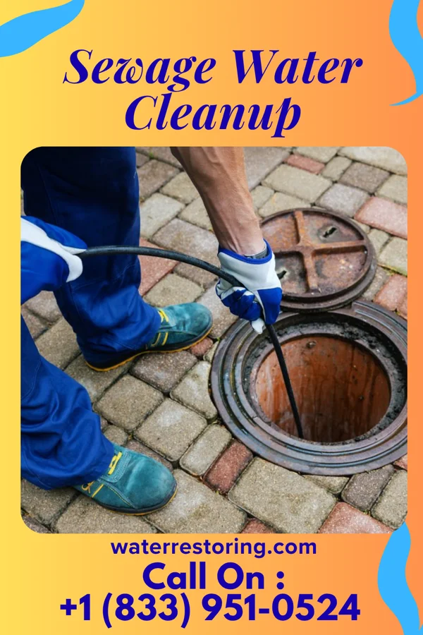 Sewage Water Cleanup in Milton, WV