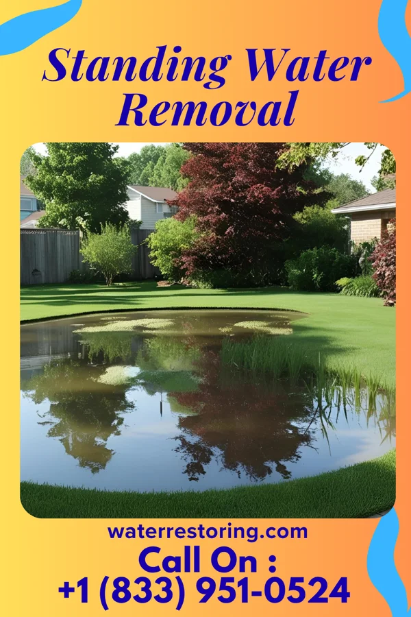 Standing Water Removal in Milton, WV